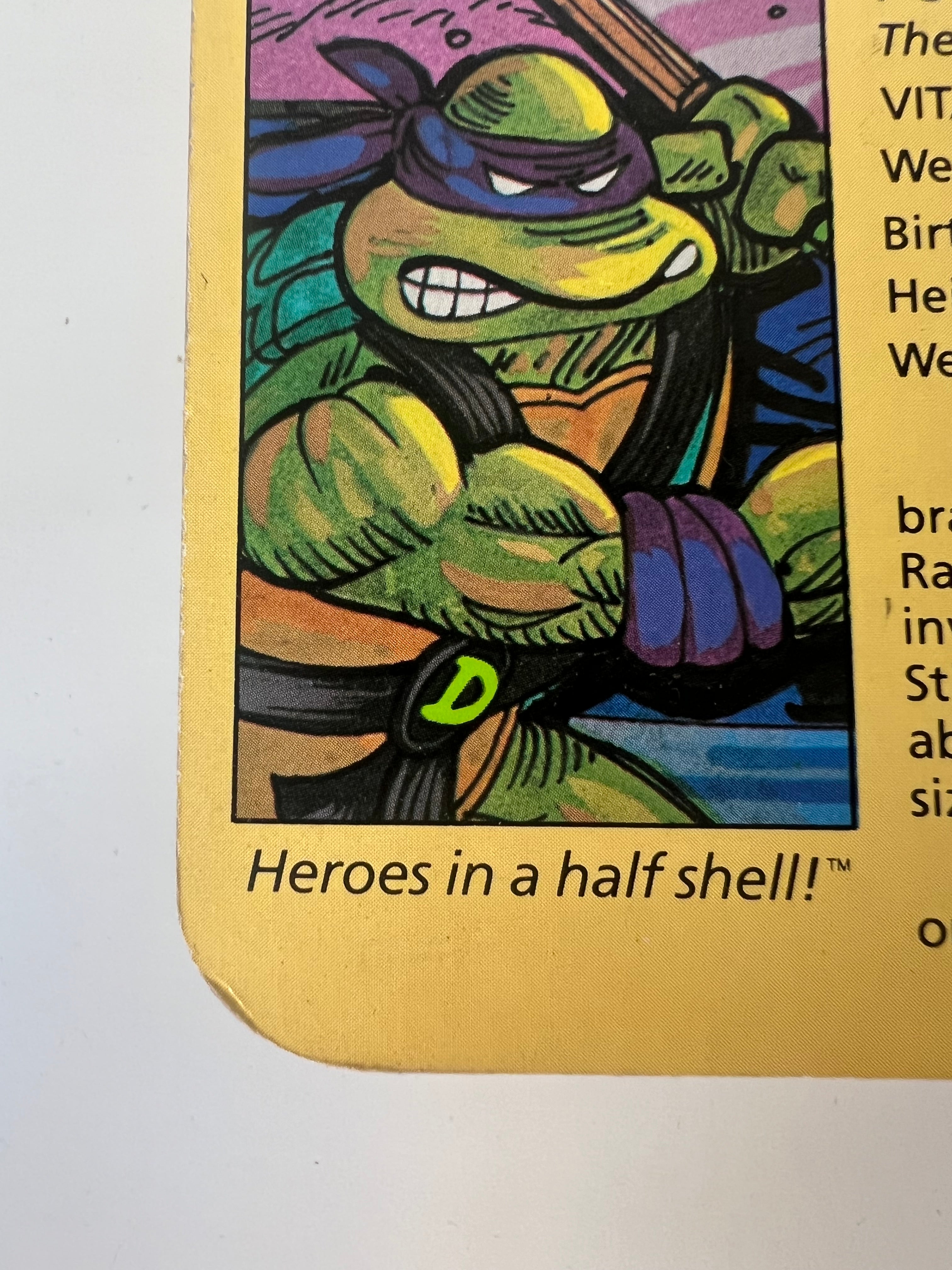 TMNT 1988 Donatello 10-Back