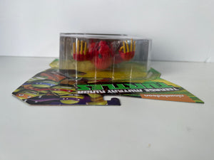 TMNT Dark Beaver