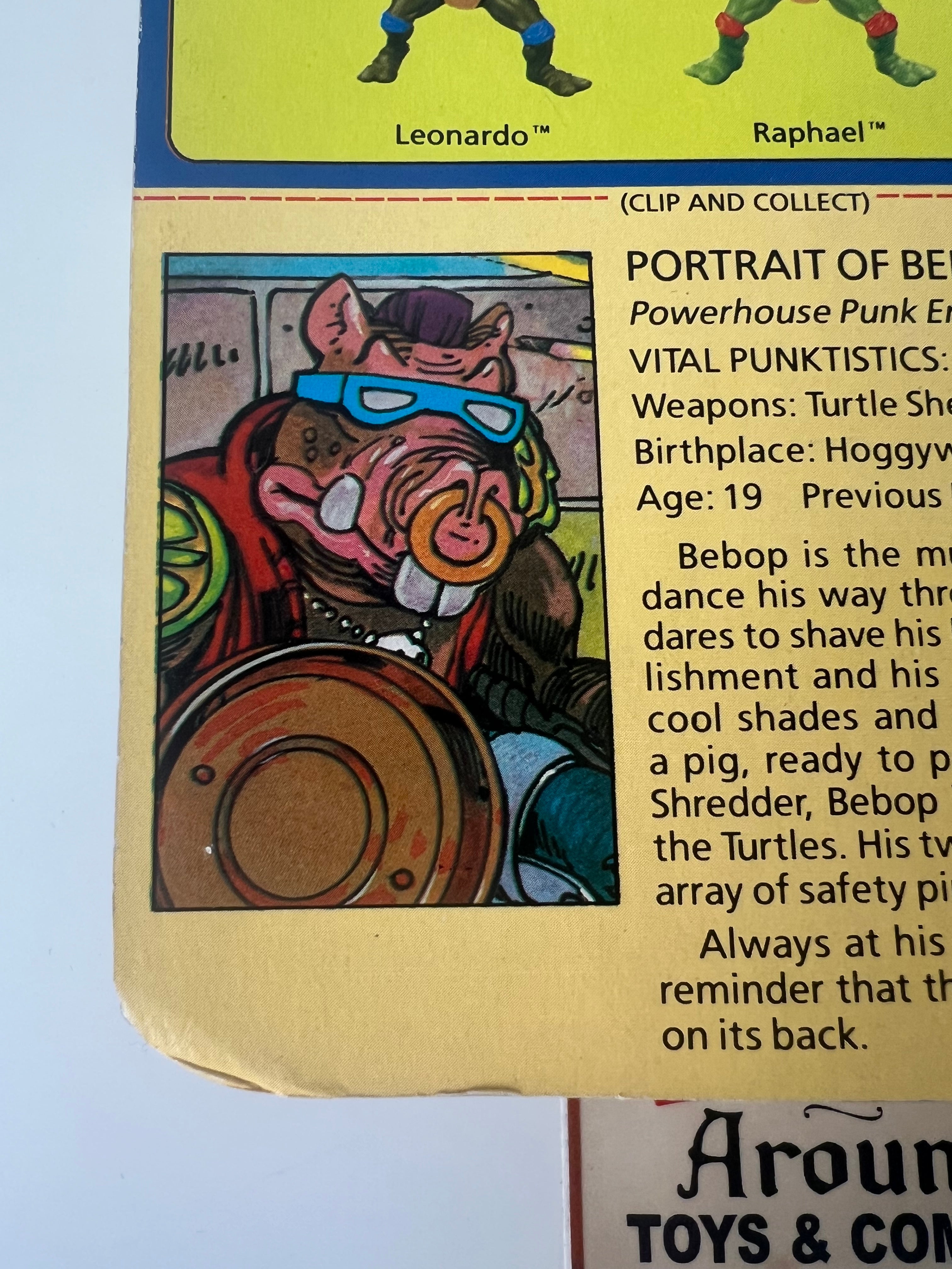 TMNT Bebop 10-Back