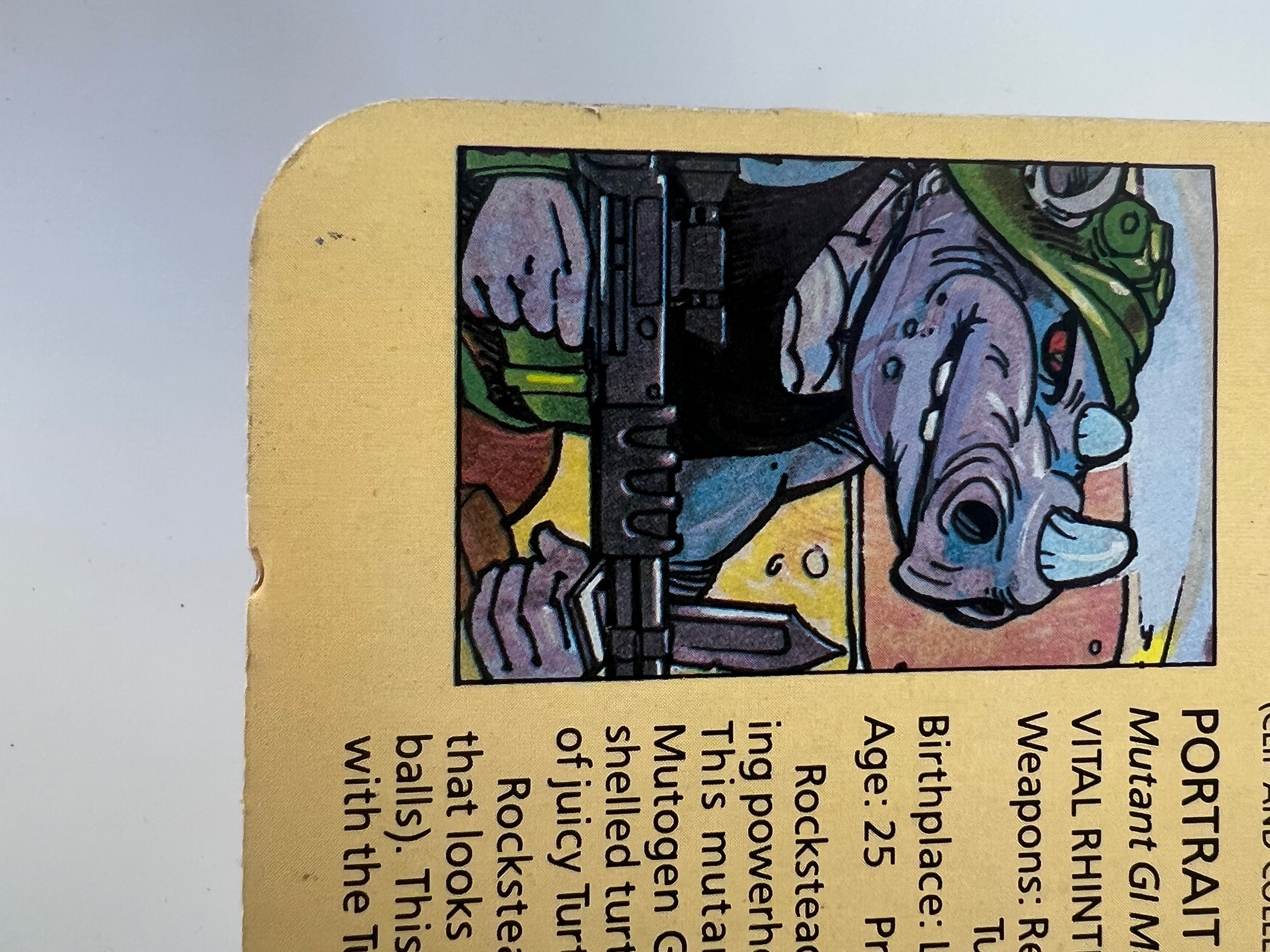 TMNT Rocksteady 10-Back