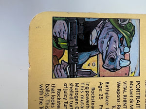 TMNT Rocksteady 10-Back