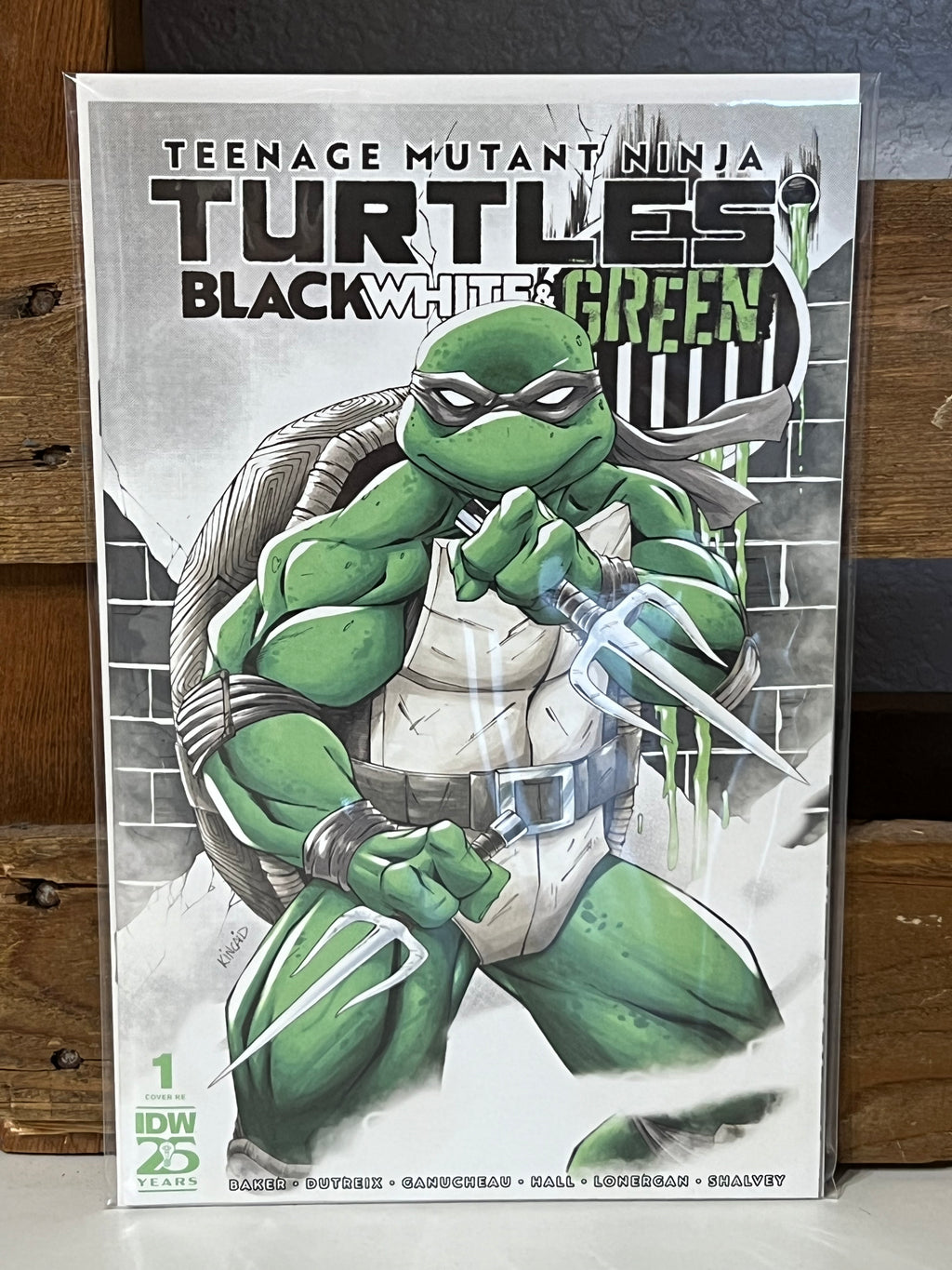 IDW TMNT Black White & Green RE Ryan Kincaid Variant