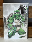 IDW TMNT Black White & Green RE Virgin Ryan Kincaid Variant