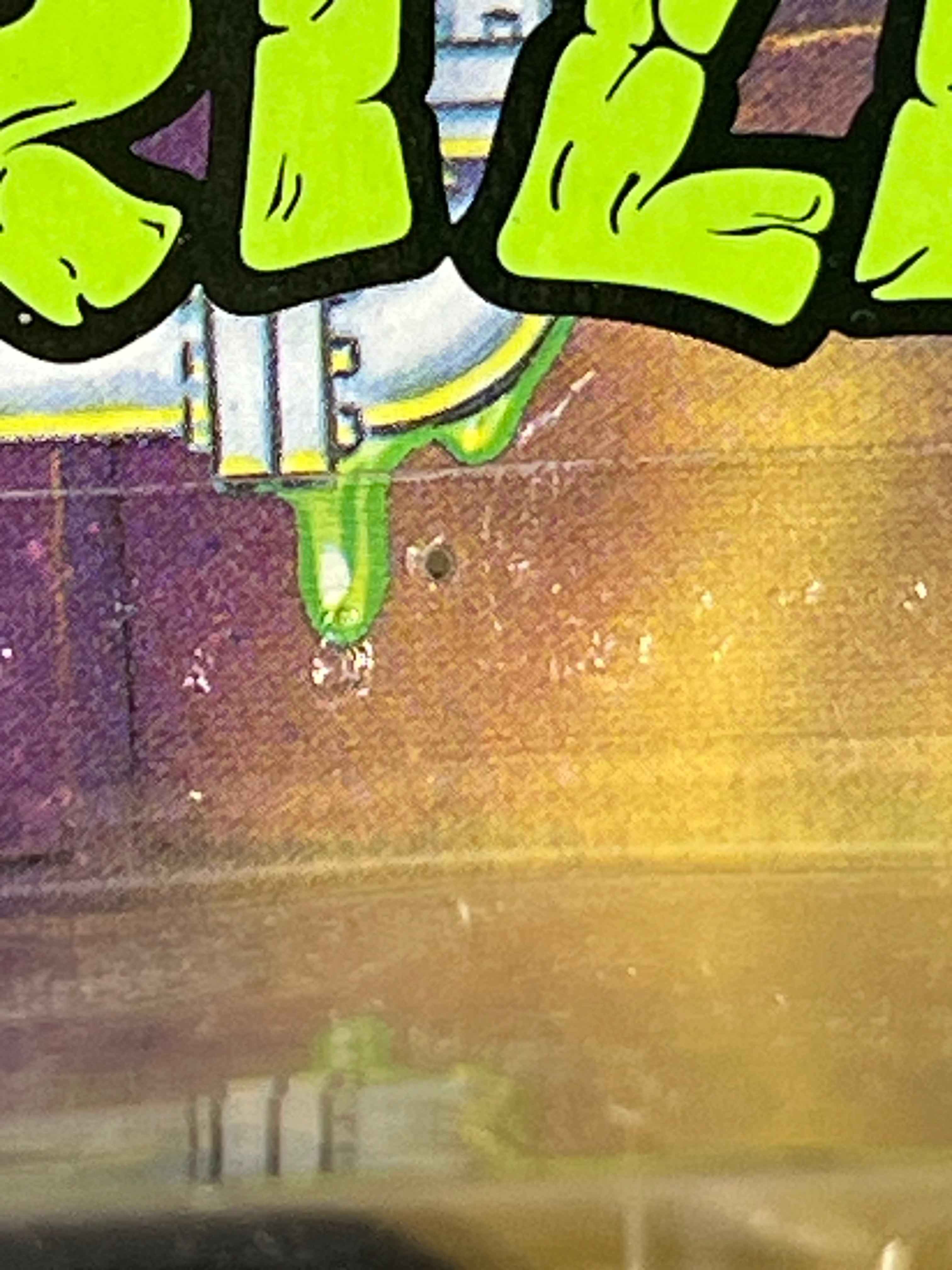 TMNT Universal Studios Monsters Bride Of Frankenstein April